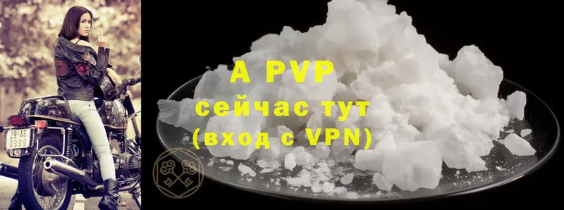 дарнет шоп  Мирный  A PVP крисы CK 