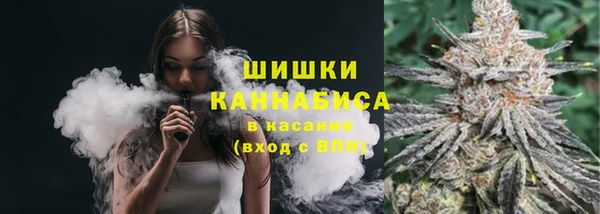 дурь Нея