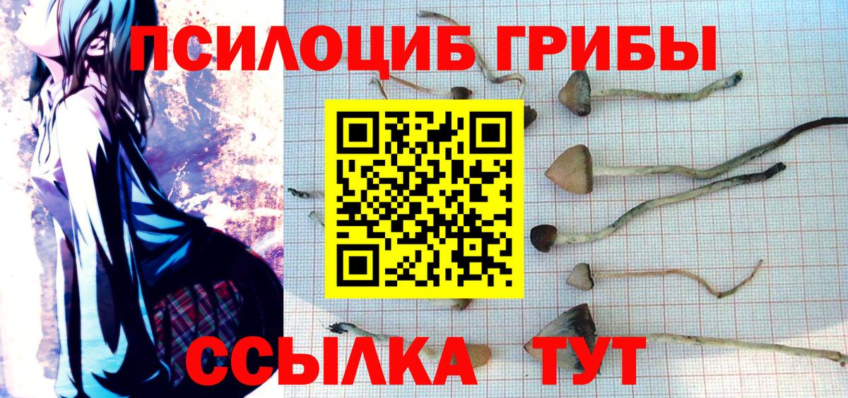 Мирный  Галлюциногенные грибы мицелий  наркошоп  Вход с VPN  Псилоцибиновые грибы GOLDEN TEACHER 