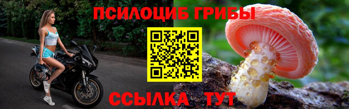 Галлюциногенные грибы мухоморы  Мирный  Псилоцибиновые грибы Psilocybine cubensis 