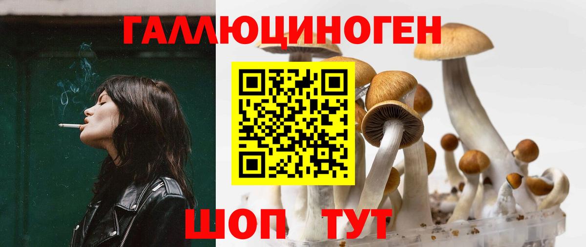 Псилоцибиновые грибы ЛСД Мирный